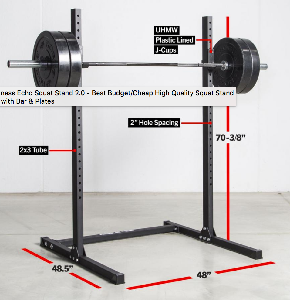 Rogue Echo Squat Stand 2.0
